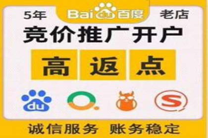 案例分析：竞价推广助力企业快速增长